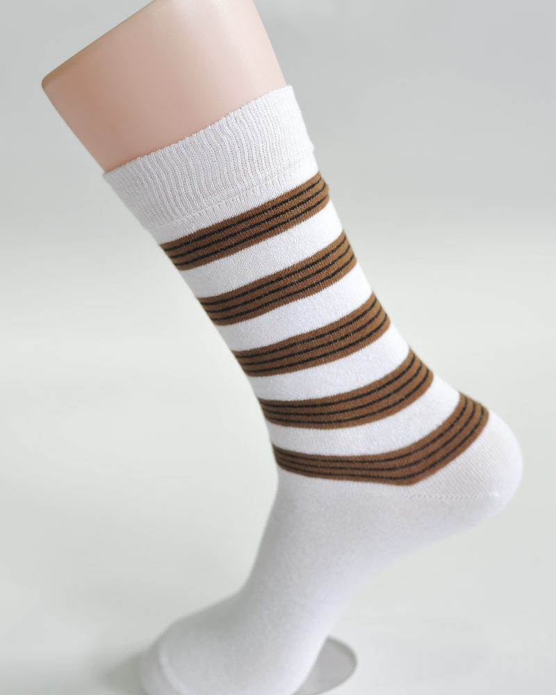 Long stripe socks